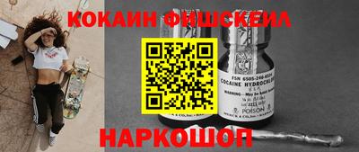 гашик Будённовск