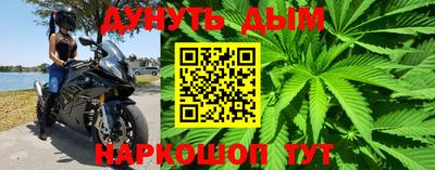 гашик Будённовск