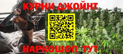 гашик Будённовск