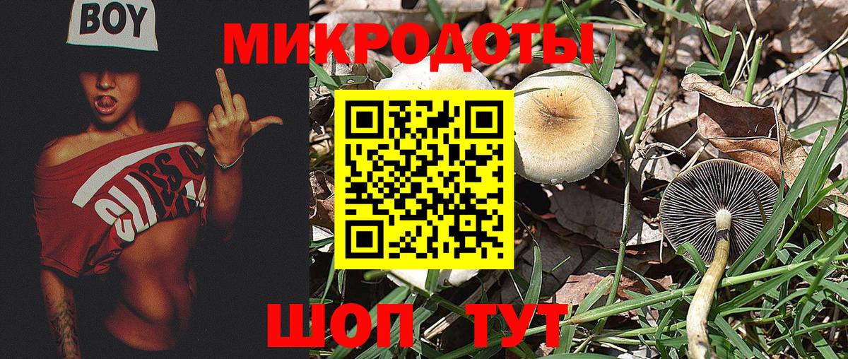Псилоцибиновые грибы мицелий  магазин продажи   Чехов  Вход с VPN 