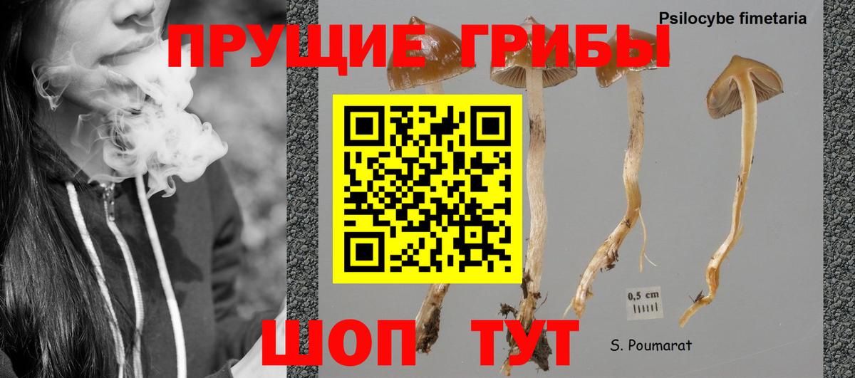 Псилоцибиновые грибы ЛСД Чехов